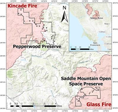 Comparing Remote Sensing and Field-Based Approaches to Estimate Ladder Fuels and Predict Wildfire Burn Severity
